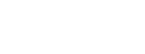 Vital Dashcam